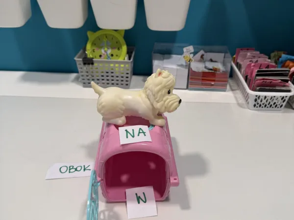 Pomoc do nauki przyimków: piesek przy transporterze i kartoniki z napisami NA, OBOK, W, GDZIE